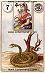 Lenormand Meanings Snake